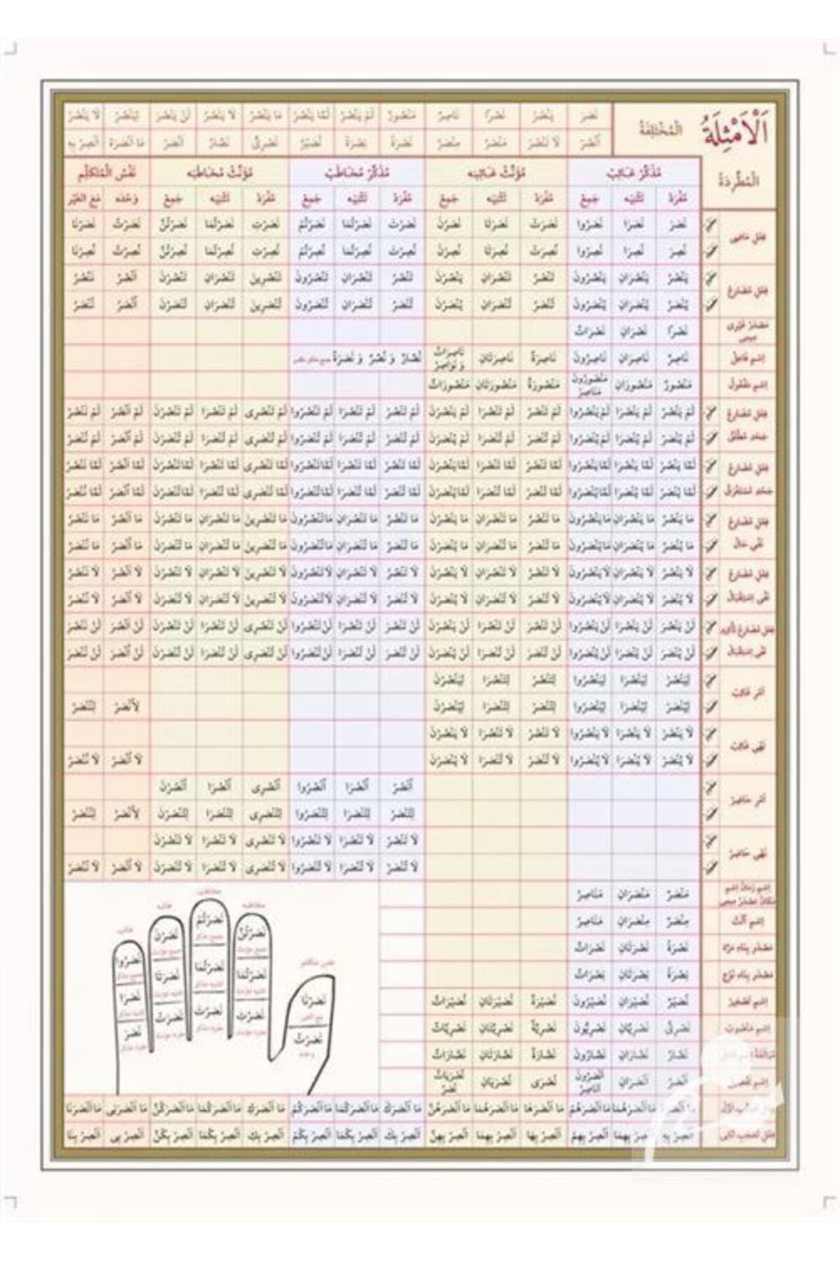 Arapça Emsile Şeması (POSTER TABLO)