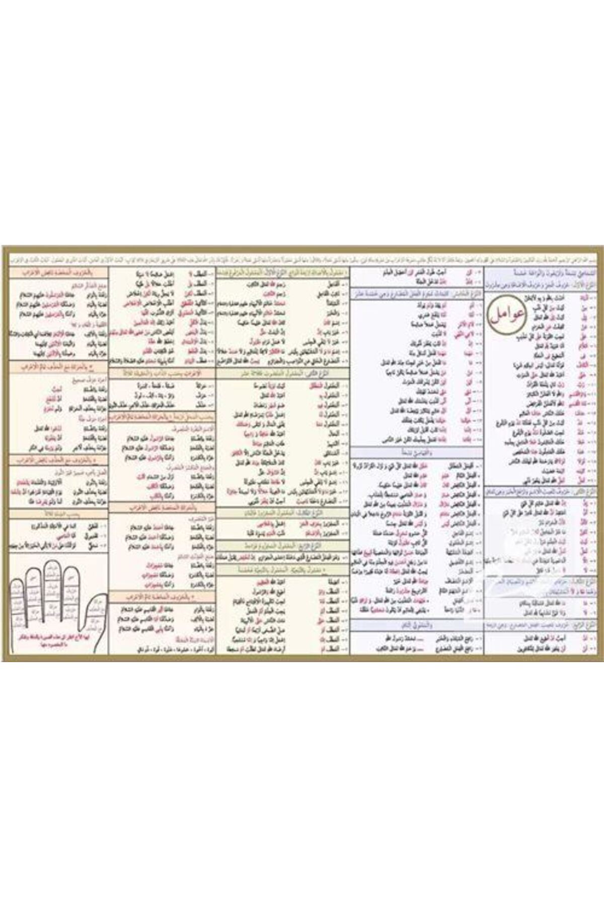 Arapça Avamil Şeması (Poster Tablo)