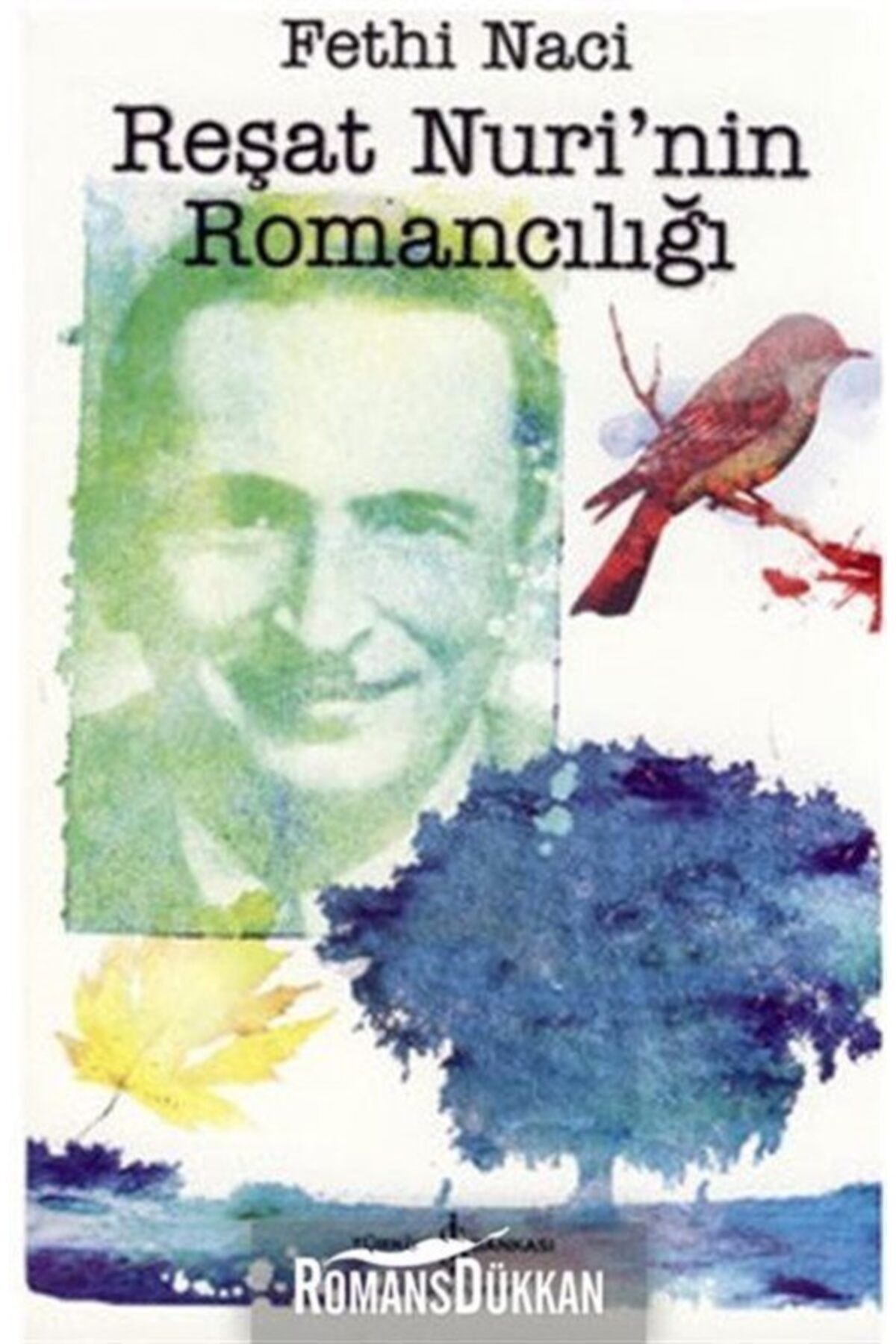 Reşat Nuri'nin Romancılığı