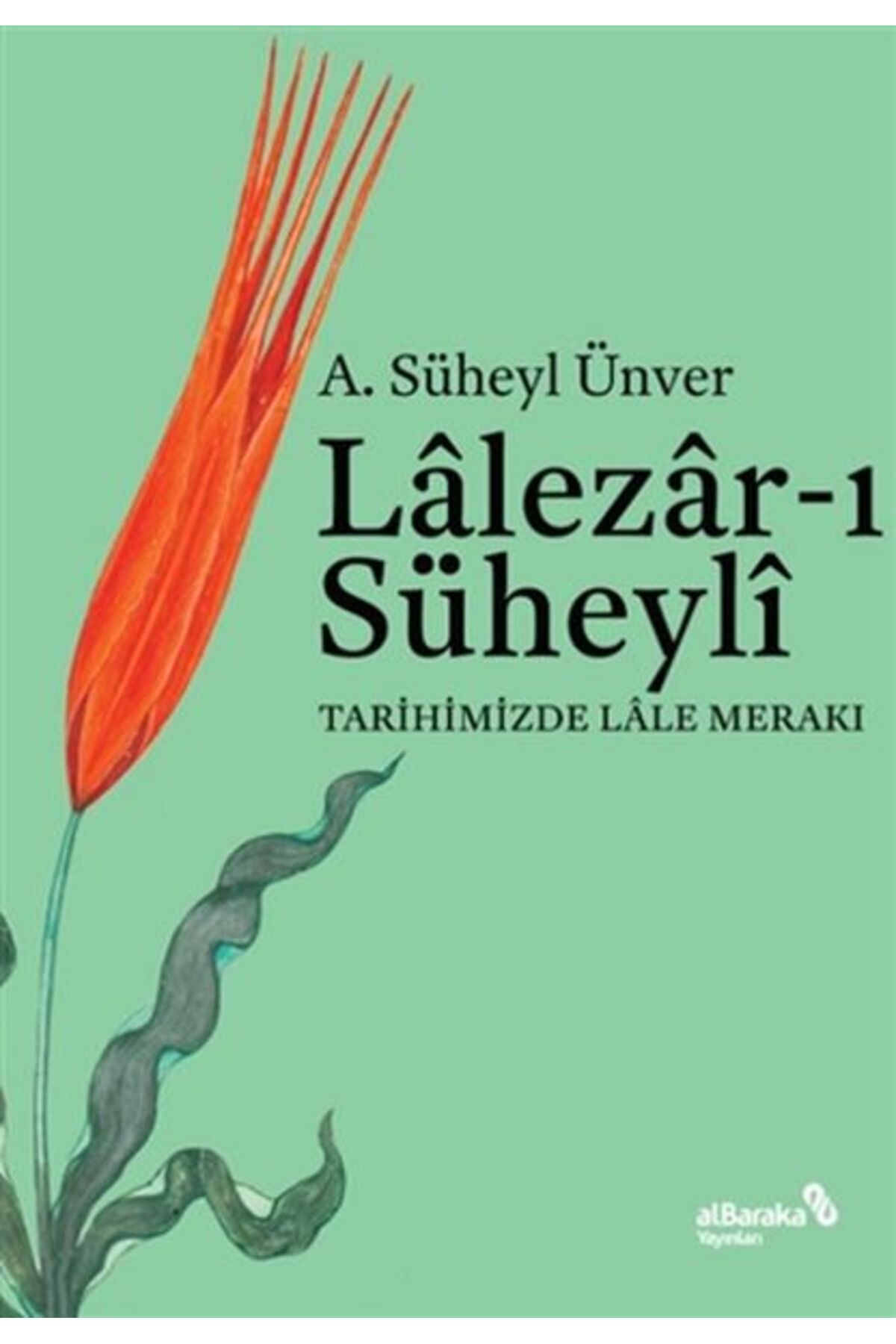 Yeşilin Kızı Anne - Rüzgarlı Kavaklar - Bez Ciltli