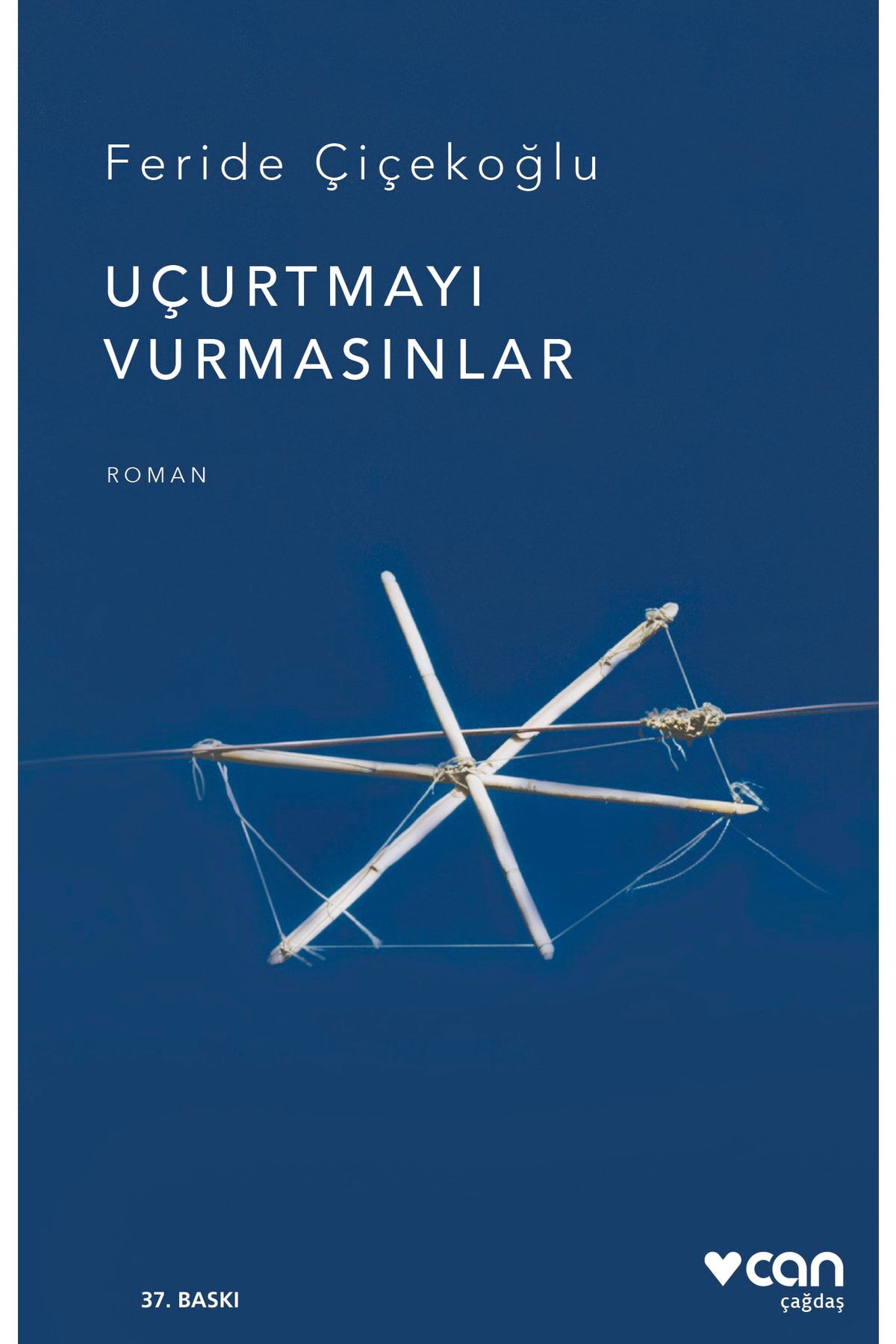Uçurtmayı Vurmasınlar