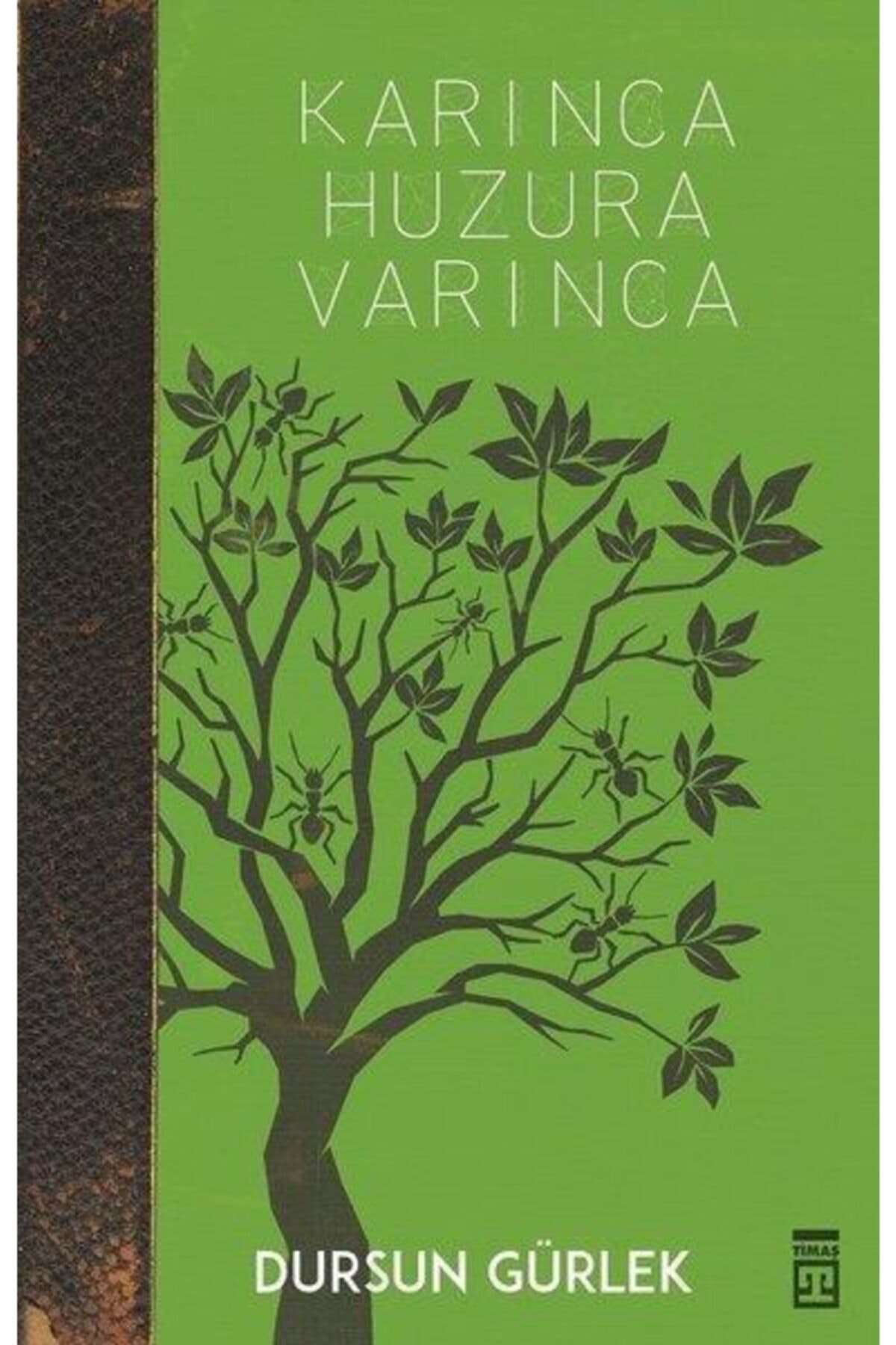Karınca Huzura Varınca - Dursun Gürlek - Dursun Gürlek