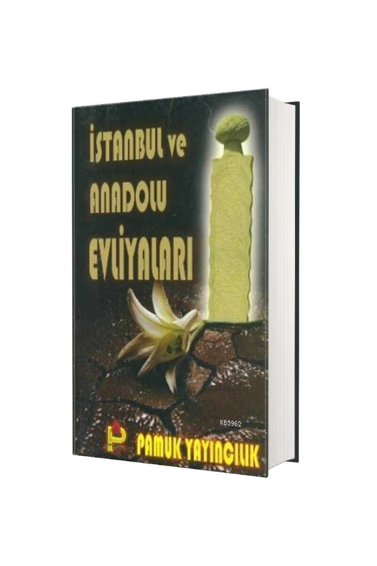 Istanbul Ve Anadolu Evliyaları (evliya-002) / Rahmi Şen / / 9789756594131