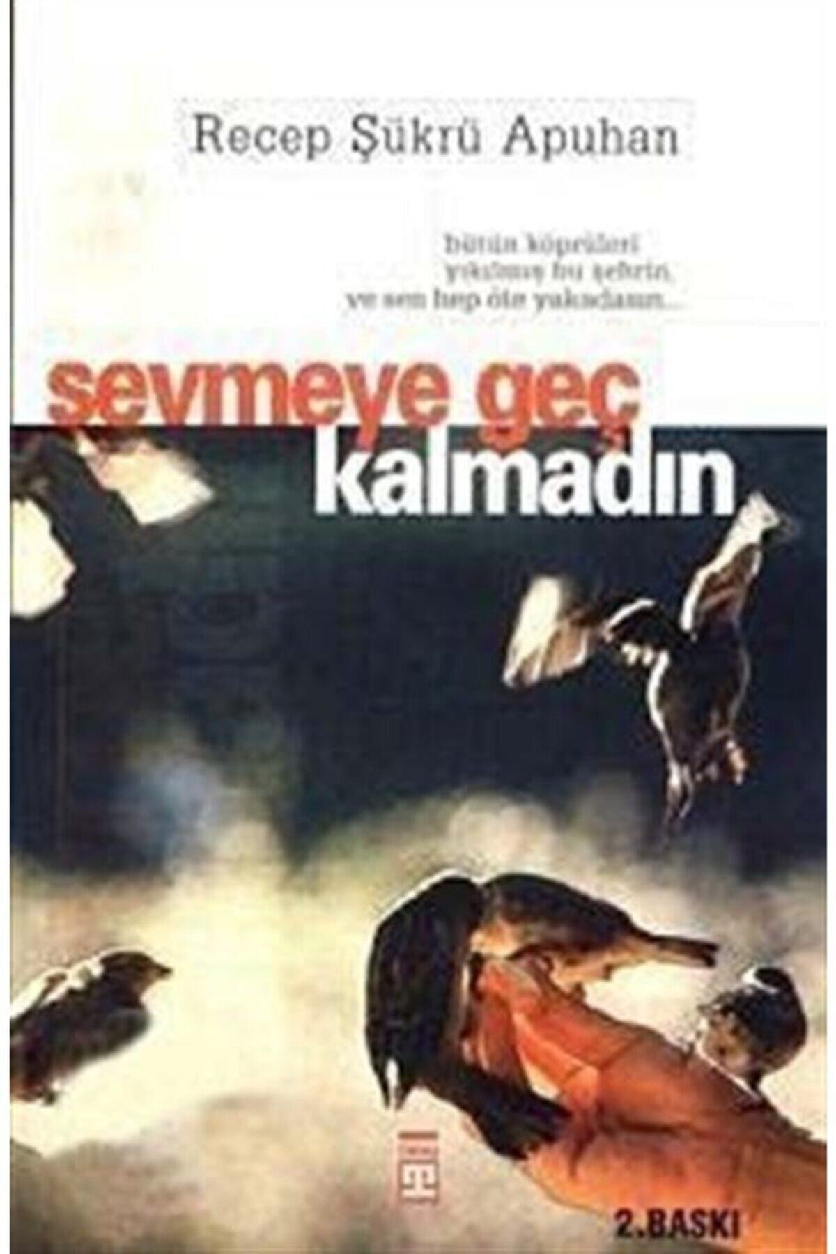 Sevmeye Geç Kalmadın