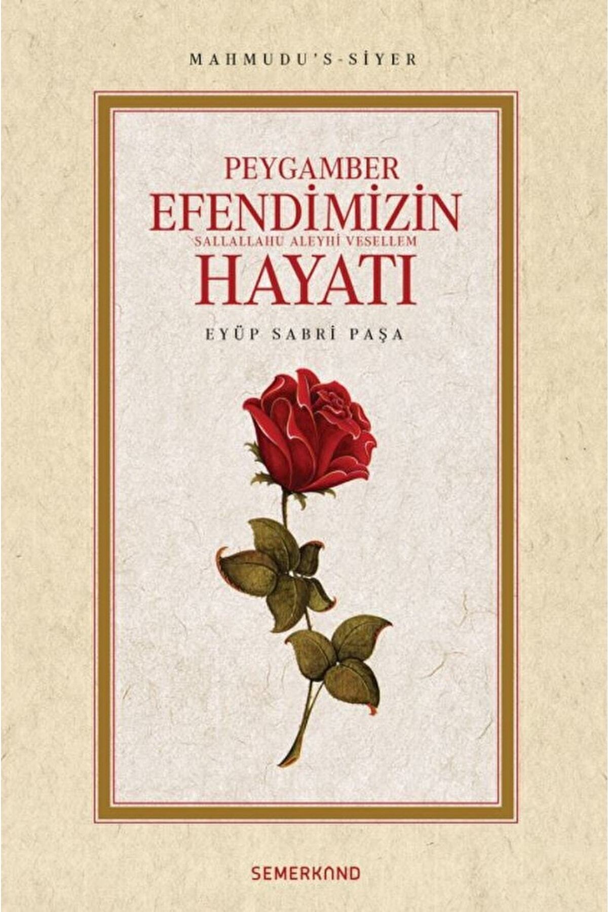 Mahmudus Siyer / Peygamber Efendimizin Hayatı Sav. / Eyüp Sabri Paşa