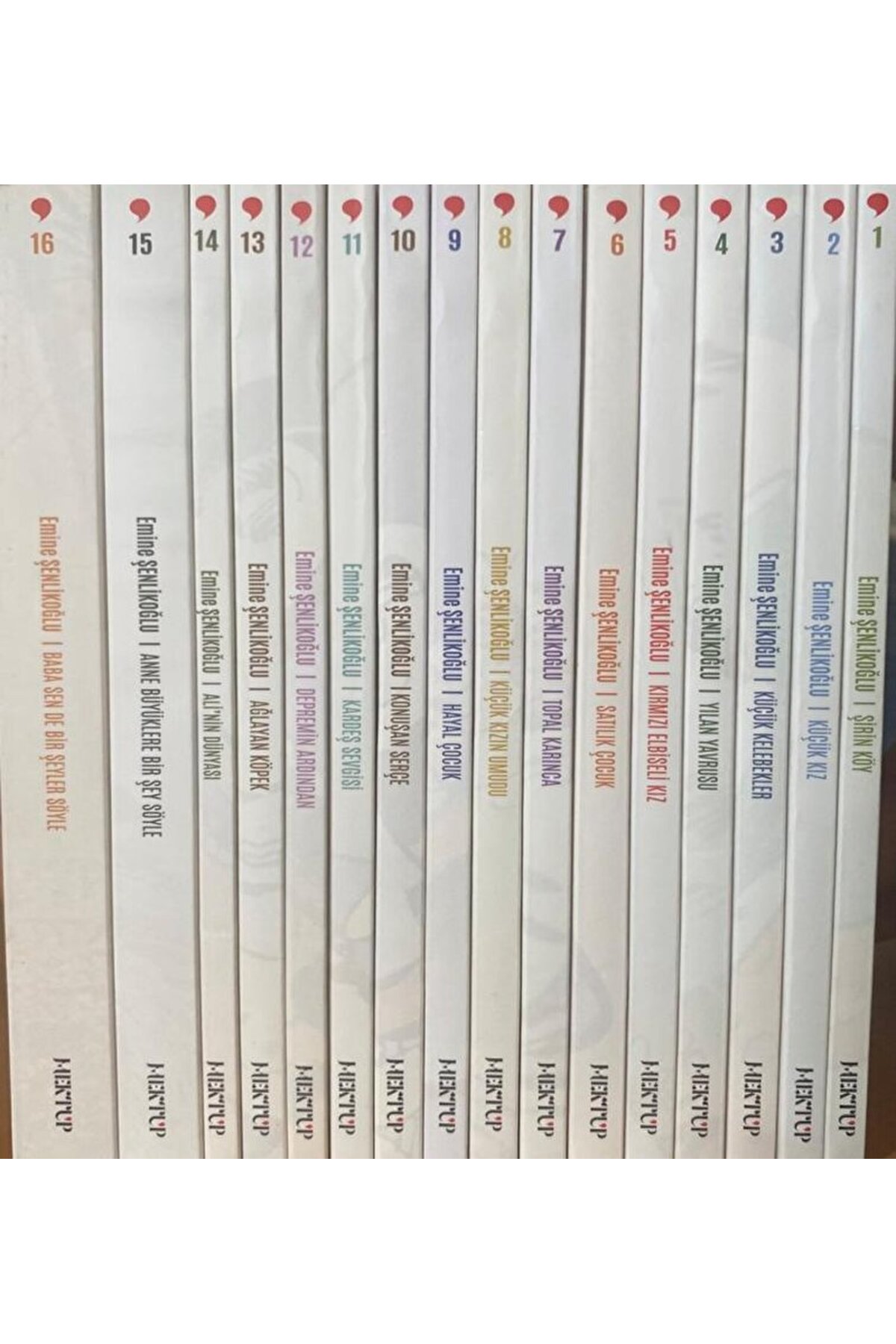 Nesillerin Öyküsü (16 Cilt Takım) / Emine Şenlikoğlu / Mektup Yayınları / 4458000104376