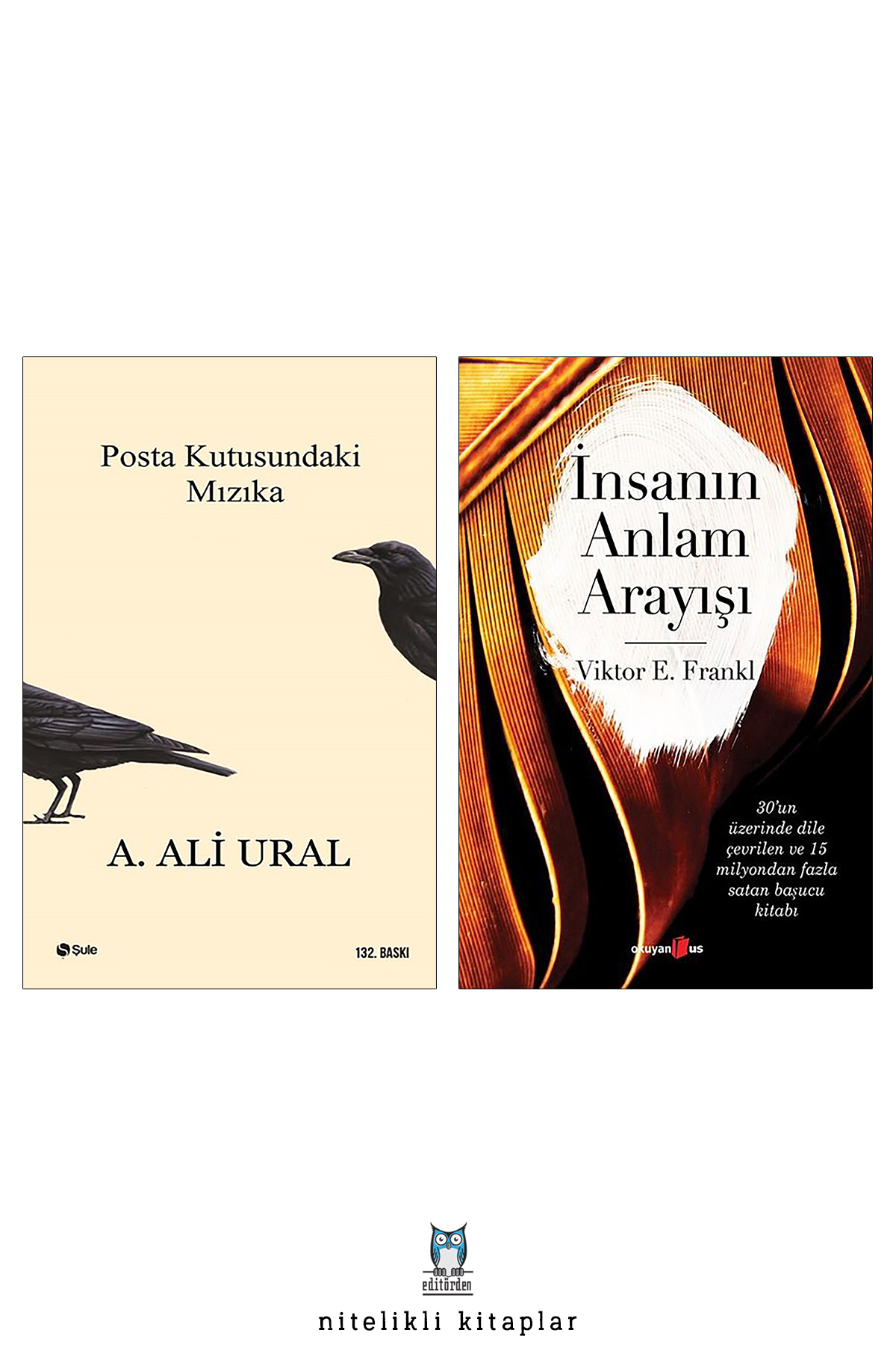 Posta Kutusundaki Mızıka / Ali Ural - İnsanın Anlam Arayışı