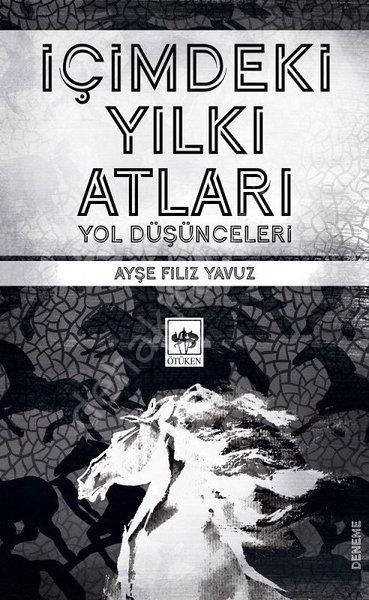 İçimdeki Yılkı Atları, Ayşe Filiz Yavuz