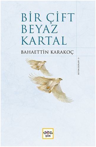Bir Çift Beyaz Kartal, Nar Yayınları