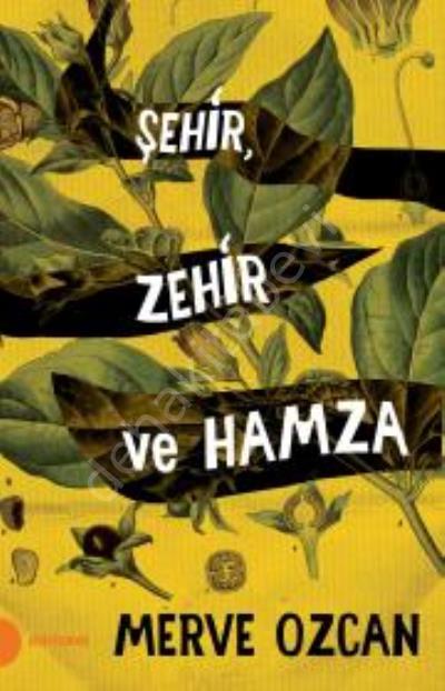 Şehir Zehir ve Hamza