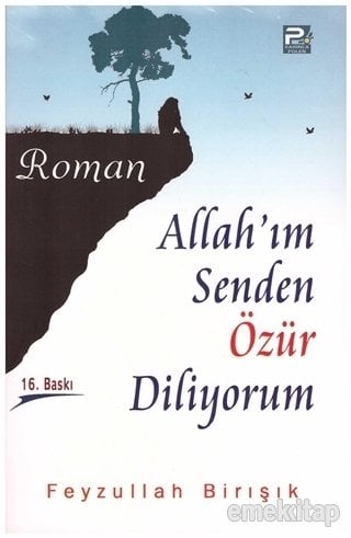Allah'ım Senden Özür Diliyorum, Feyzullah Birışık