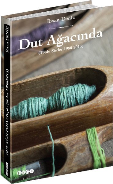 Dut Ağacında, Hece Yayınları