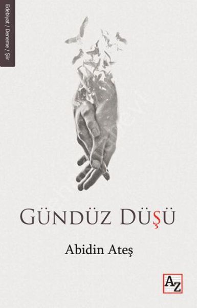 Gündüz Düşü, Abidin Ateş