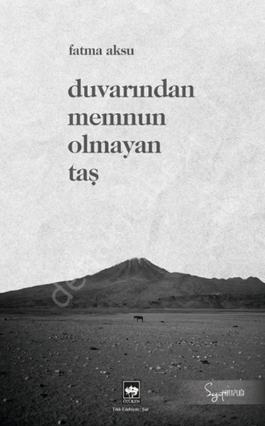 Duvarından Memnun Olmayan Taş, Fatma Aksu