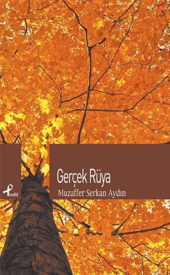 Gerçek Rüya, Muzaffer Serkan Aydın