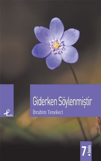 Giderken Söylenmiştir, İbrahim Tenekeci, Profil Kitap