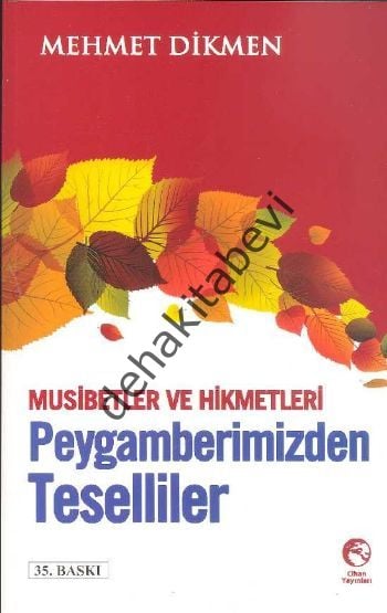 Peygamberimizden Teselliler, Mehmet Dikmen