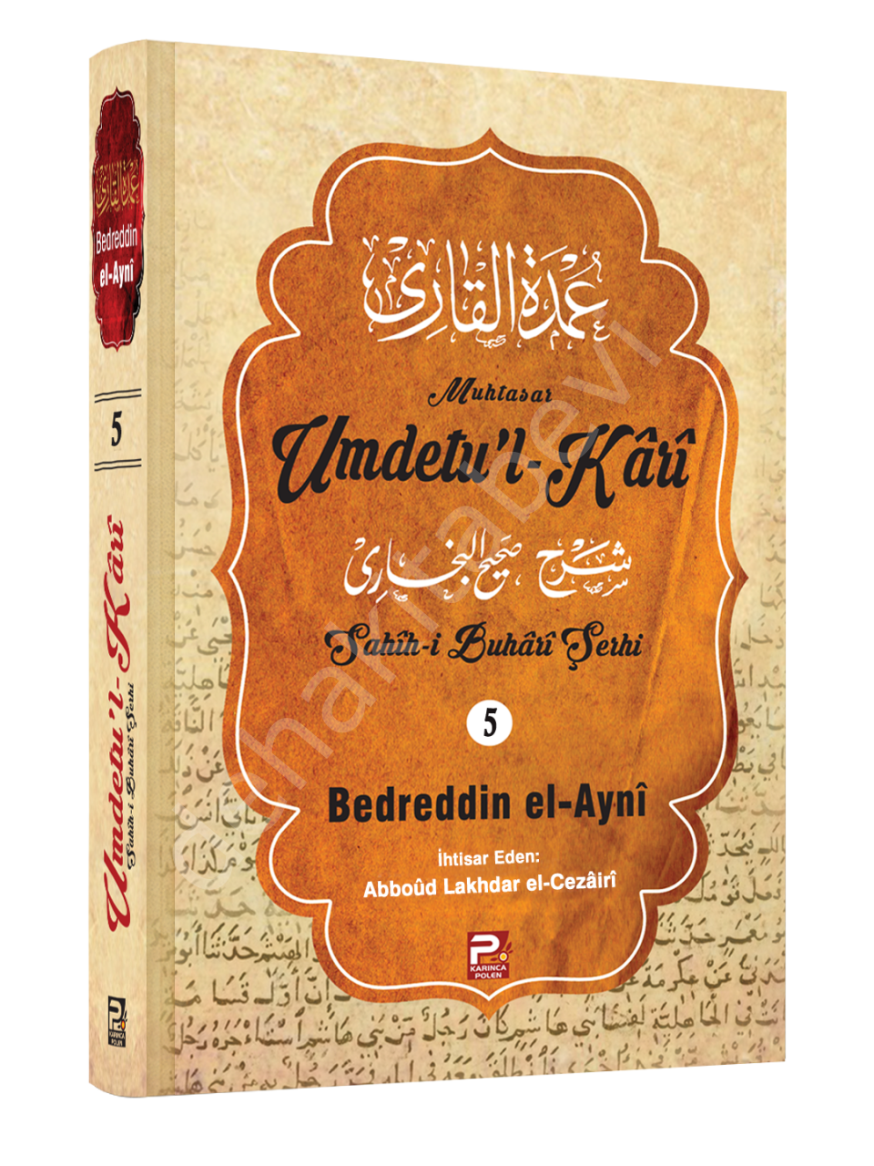 Umdetul Kari 5. Cilt, Bedreddin el-Ayni