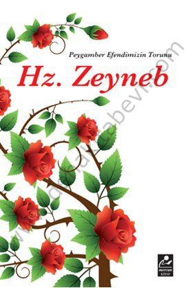 Hz. Zeyneb Peygamber Efendimizin Torunu, Harun Yıldırım