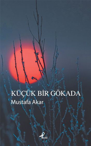 Küçük Bir Gökada, Mustafa Akar