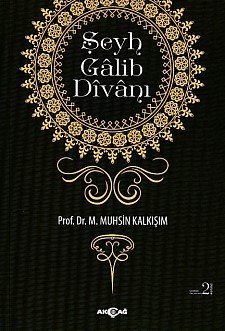 Şeyh Galib Divanı, M. Muhsin Kalkışım