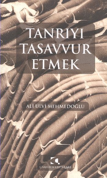 Tanrıyı Tasavvur Etmek, Ali Ulvi Mehmedoğlu