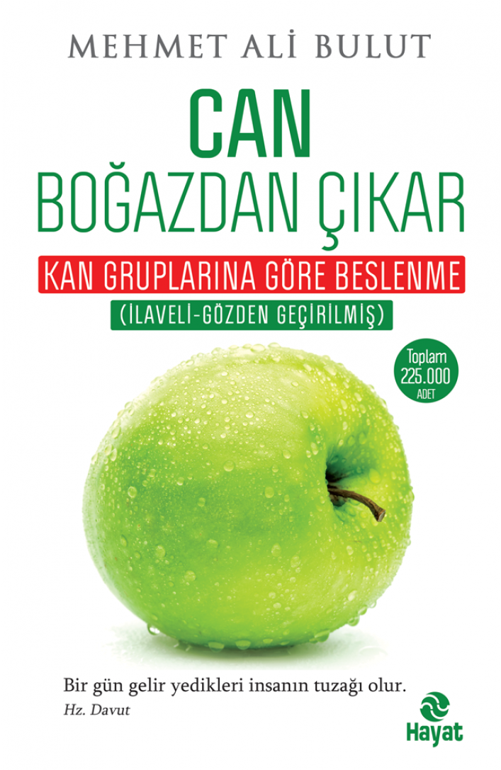 Can Boğazdan Çıkar, Mehmet Ali Bulut, Hayat Yayınları