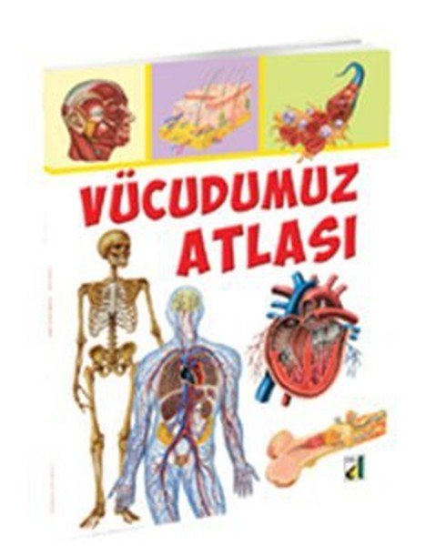 Vücudumuz Atlası, Vincenzo Guidi