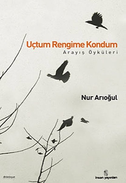 Uçtum Rengime Kondum; Arayış Öyküleri, İnsan Yayınları