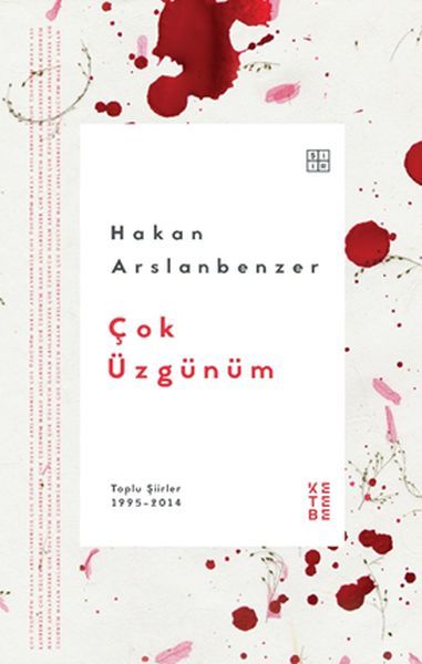 Çok Üzgünüm, Hakan Arslanbenzer