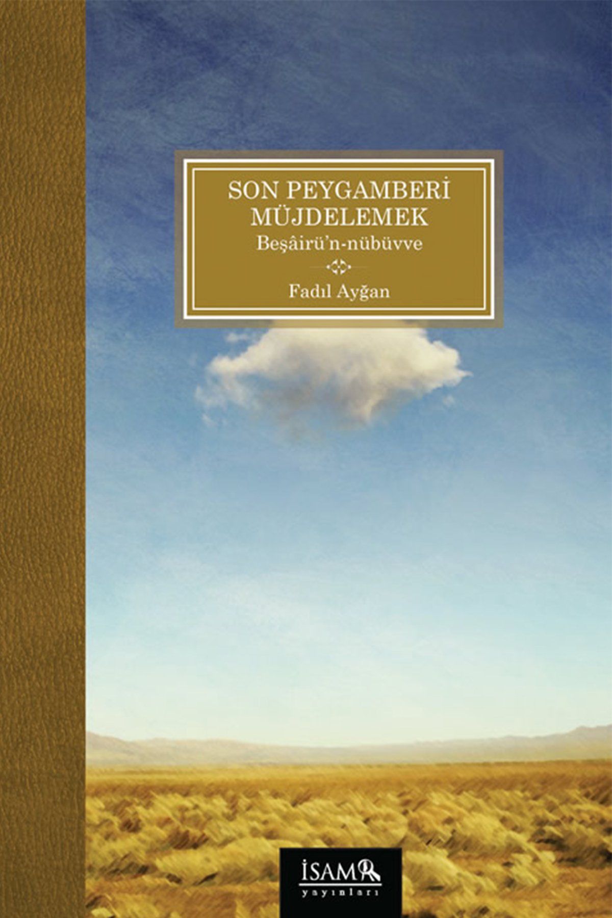 Son Peygamberi Müjdelemek Beşairün Nübüvve, Fadıl Ayğan