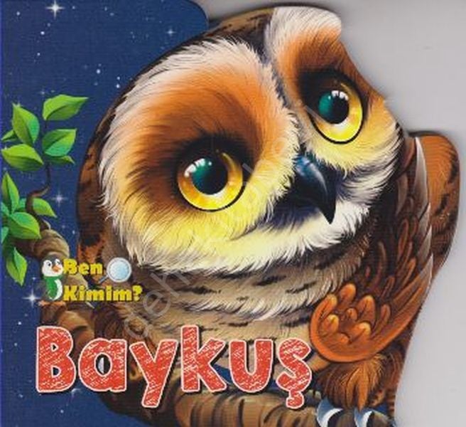 Baykuş, Parıltı Yayıncılık