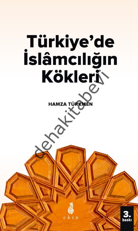 Türkiyede İslamcılığın Kökleri, Hamza Türkmen