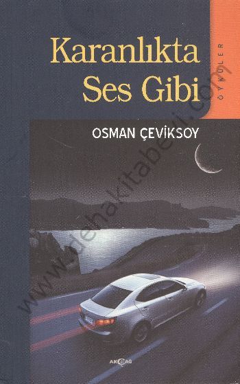 Karanlıkta Ses Gibi