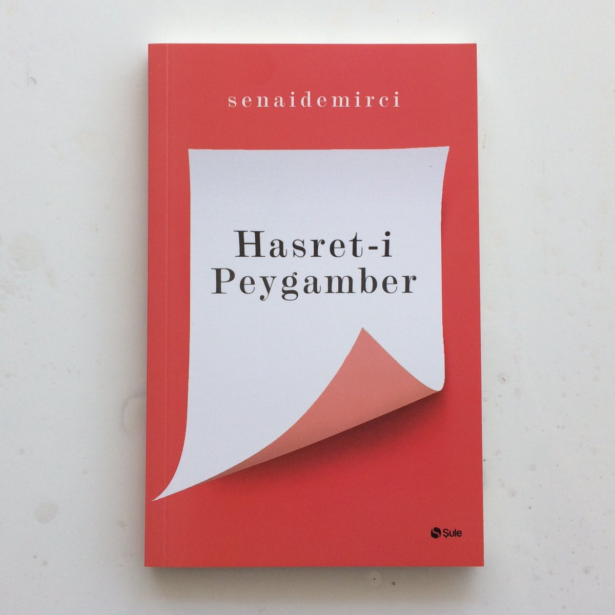 Hasreti Peygamber, Senai Demirci, Şule Yayınları
