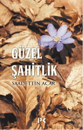 Güzel Şahitlik, Saadettin Acar