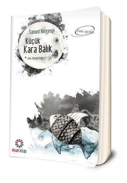 Küçük Kara Balık, İnsan Yayınları