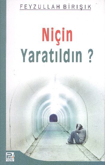 Niçin Yaratıldın?, Feyzullah Birışık