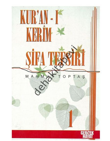 Şifa Tefsiri 6. Cilt, Mahmut Toptaş, Gerçek Hayat