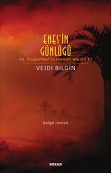 Enes'in Günlüğü, Vejdi Bilgin