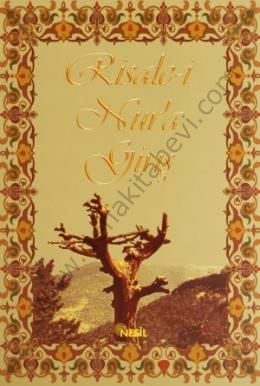 Risale-i Nura Giriş, Nesil Yayınları