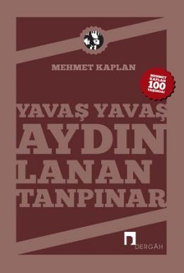Yavaş Yavaş Aydınlanan Tanpınar, Mehmet Kaplan