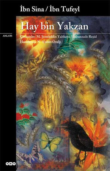 Hay Bin Yakzan, İbn Tufeyl