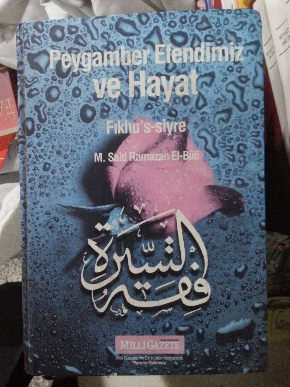 2. el Fıkhus Siyre, Peygamber Efendimiz ve Hayat