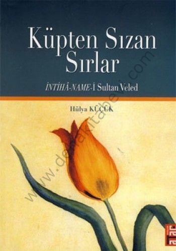 Küpten Sızan Sırlar, İntiha-name-i Sultan Veled, Hülya Küçük