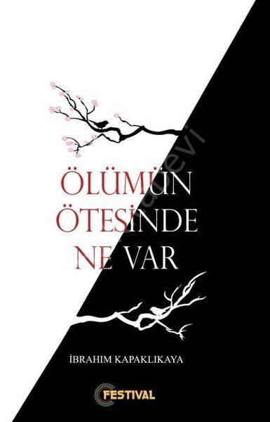 Ölümün Ötesinde Ne Var, İbrahim Kapaklıkaya