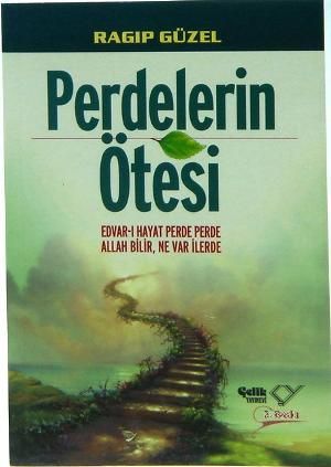 Perdelerin Ötesi, Ragıp Güzel