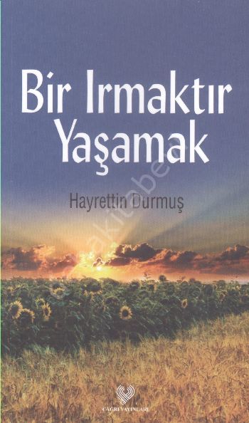 Bir Irmaktır Yaşamak