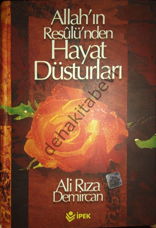 Allah ın Resulünden Hayat Dustu, Ali Rıza Demircan